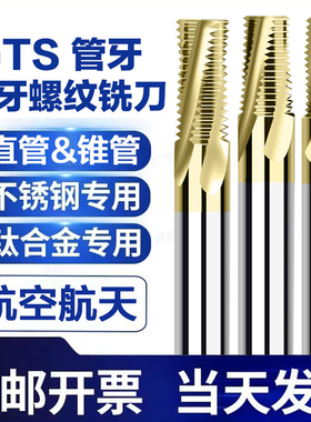 德国GTS钨钢全牙螺纹铣刀钛合金专用英制/美制管牙铣刀 G RC NPTF