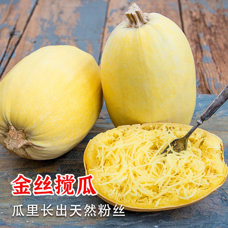 金丝搅瓜种子绞瓜黄金瓜种籽苗粉丝西葫芦丝瓜南瓜蔬菜秧苗孑茭瓜