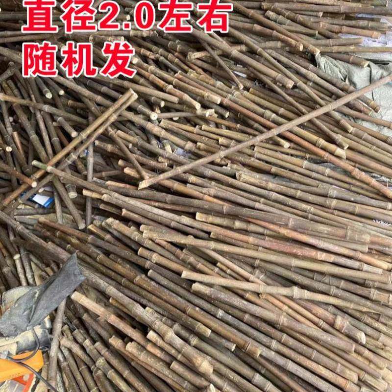实心竹实心玉竹长毛料手把件原材料长度40-60公分两根,