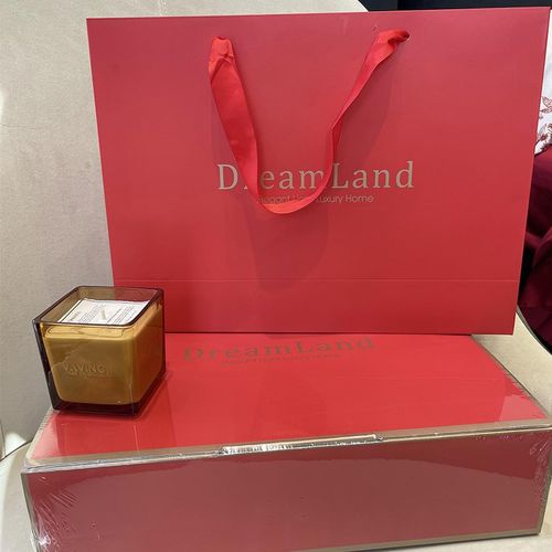 2025新款新婚婚嫁红色四件套全棉纯棉婚庆红色被套年轻人日常可用