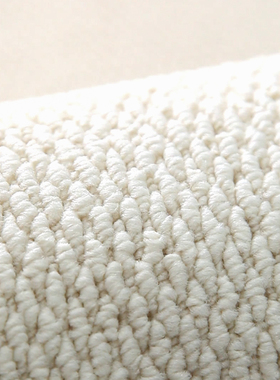 素色地毯卧室床边毯白色奶油x风客厅地垫满铺大面积纯色拍照背景