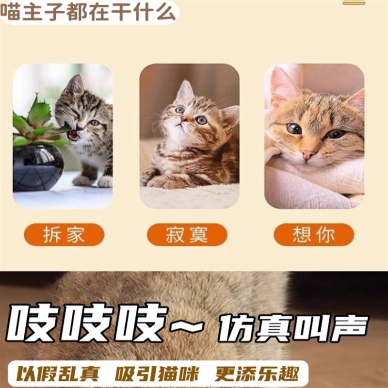 【下单立减50】逗猫毛绒小老鼠猫玩具耐抓耐咬互动宠物玩具Y02