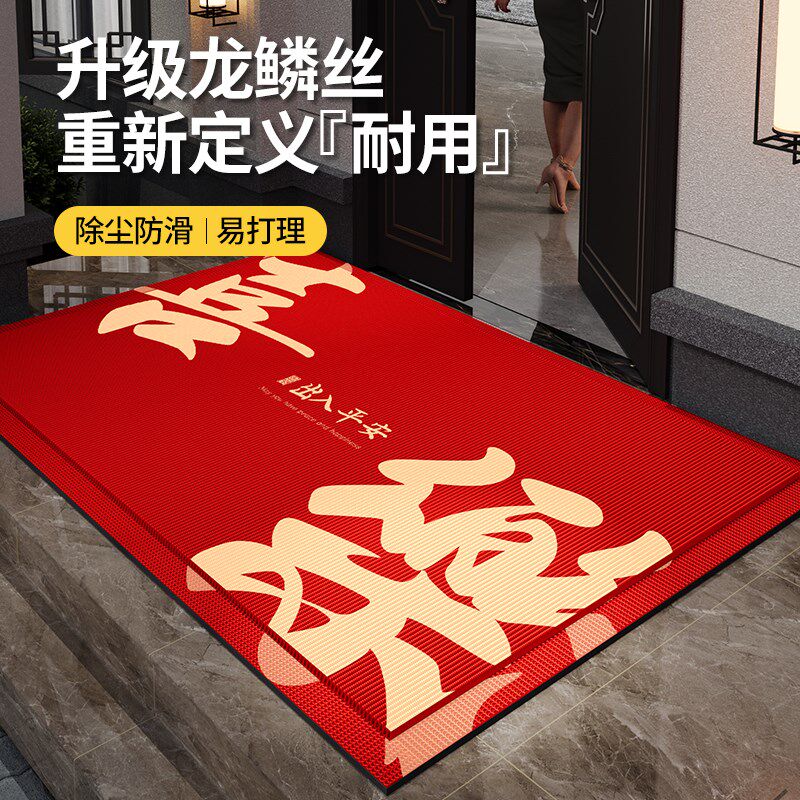 2025新款家用门口入户专用地垫进门脚踏垫耐用门内外入户门地毯