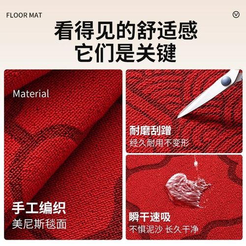 入户门地垫2024新款家用中式高级感地毯门垫耐脏免洗防滑进门脚垫