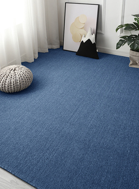 ins风蓝色地毯满铺拍照摄影客厅卧室房间全铺圈绒全屋大面积地垫