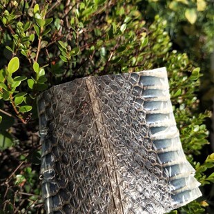 现货速发配件乌稍皮中段单块蛇皮京胡四胡蒙皮材料京胡四胡胡琴配