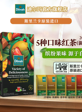 Dilmah迪尔玛斯里兰卡进口5种口味锡兰红茶20袋 独立锡纸包下午茶