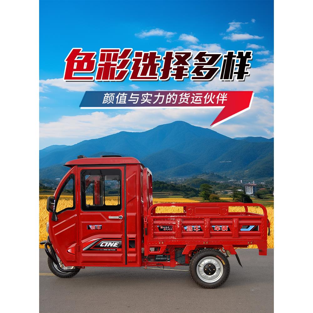 电动三轮车小型拉货家用货车2025新款农用国标可上牌载重王带雨棚