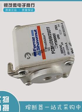熔断器保险丝PC31UD69V450D1A/M300023 PC31UD69V500D1A/N300024