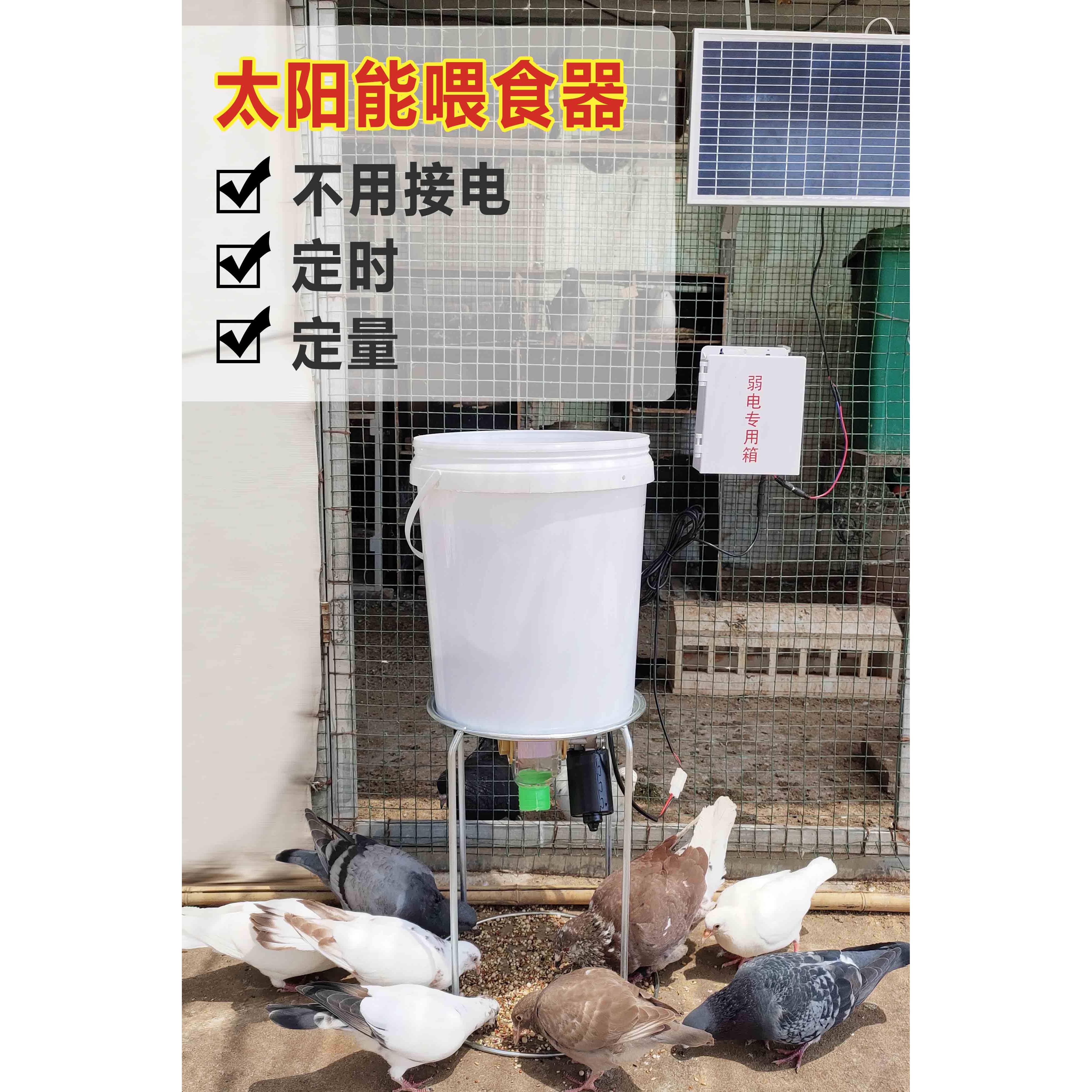 太阳能自动喂 食器定时定量鸽子鸡鸭鹅狗喂料机投食器用品用具远