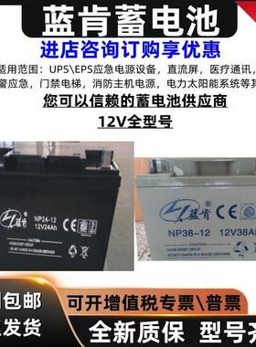 蓝肯NP65-12室12个v65a7a17a24a38a100a120a150a200a蓄电池直流面