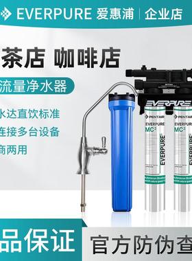 爱惠浦MC2双联净水器商用大流量直饮水机奶茶咖啡店专用过滤器
