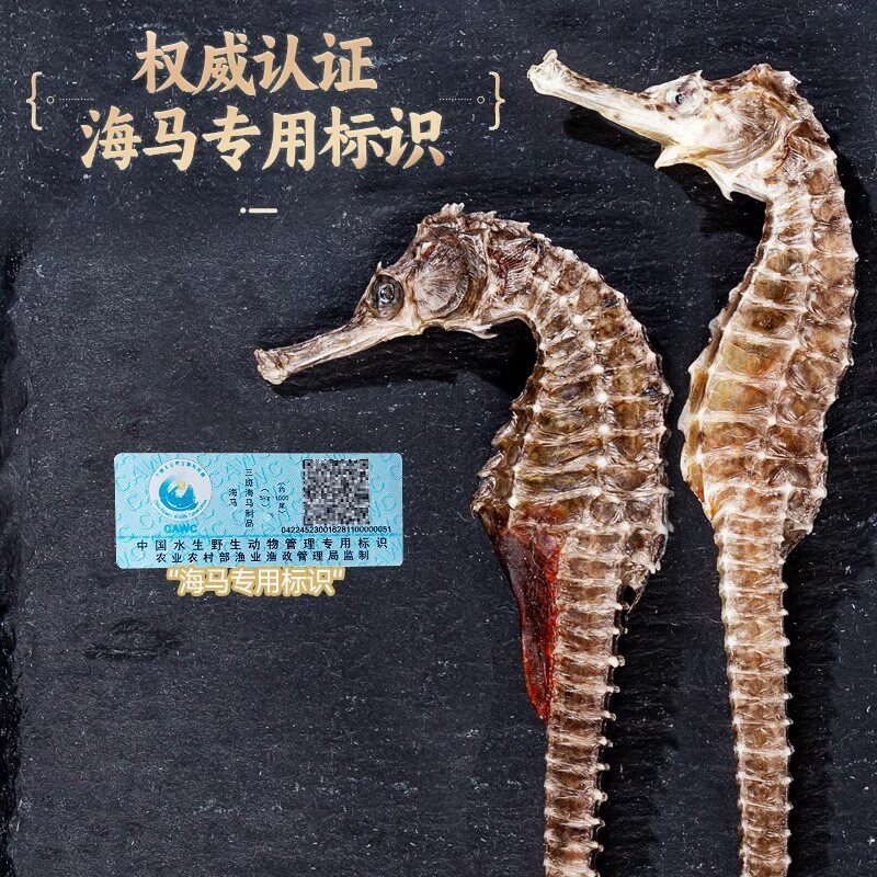 海马干货一对配对泡酒海龙煲汤料