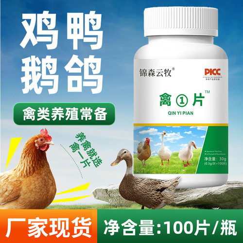 禽一片100装鸡鸭鹅家禽类养殖