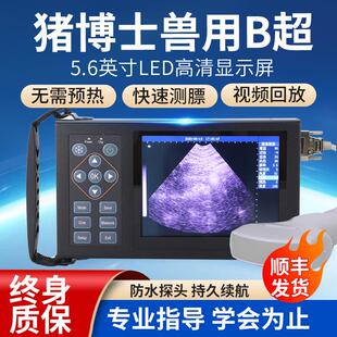 兽用b超机母猪排卵测定仪器犬检测怀孕B超便携彩色羊用必超