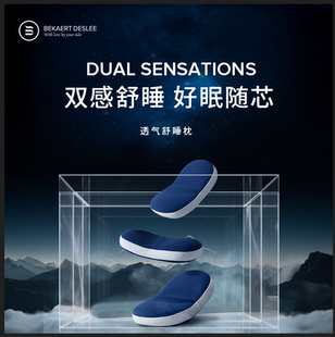 贝卡特德思丽益生菌防螨透气记忆棉枕护颈枕侧睡枕头男成人高枕头
