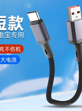 胖头雕15/25/50厘米type-c数据线超级快充适用苹果17/16/15promax华为荣耀mate80安卓6a充电线tpyec手机车载