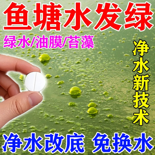 鱼池除藻去苔剂青苔清除剂不伤鱼虾户外水产鱼塘水发绿蓝藻净水剂