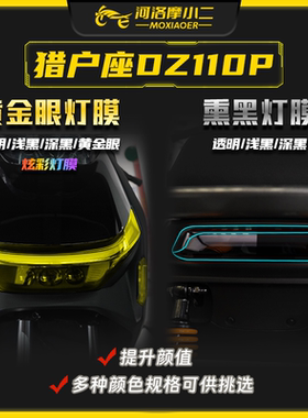 摩小二适用九号猎户座DZ110P大灯膜透明仪表膜保护贴膜配件改装