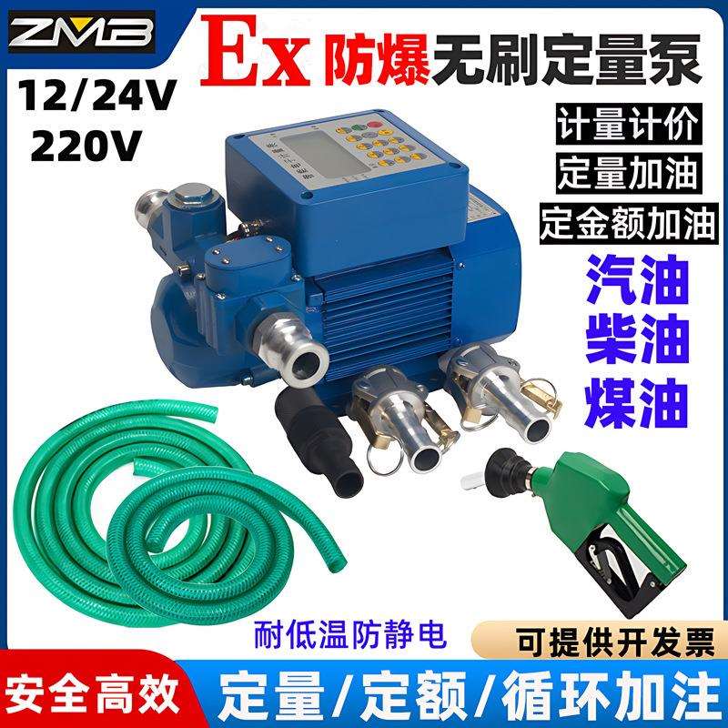 12V24V220V大流量定量防爆泵电瓶无刷电机抽油泵汽油柴油抽油泵