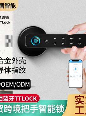 新款把手智能锁执手头美式锁支持alexagoogle通通锁ttlcok密码锁