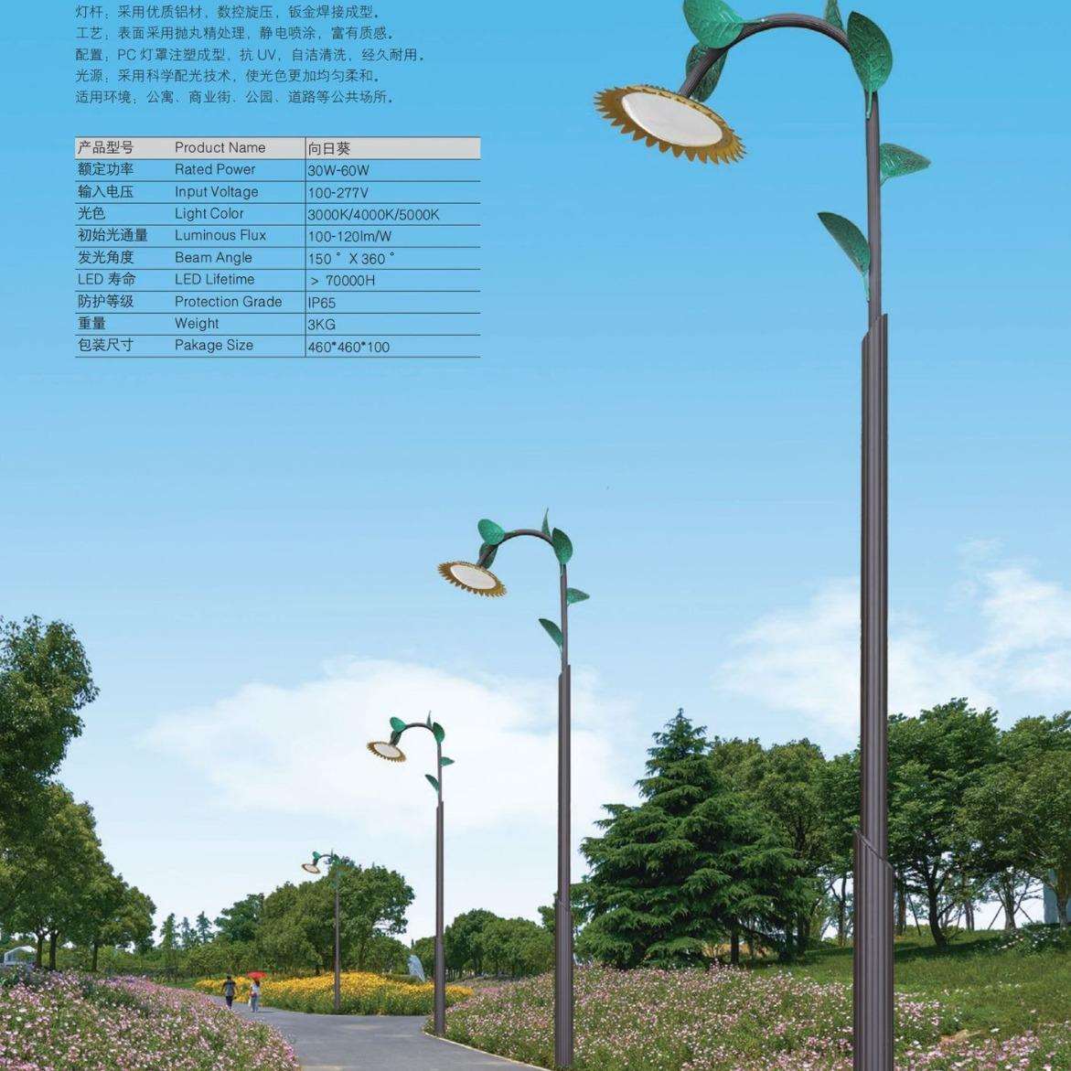 皇广景观灯-向日葵30W60W公园校园小区工厂生产安装