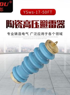 陶瓷高压避雷器YSws-17-50FT蓝色10KV陶瓷避雷器YSws系列