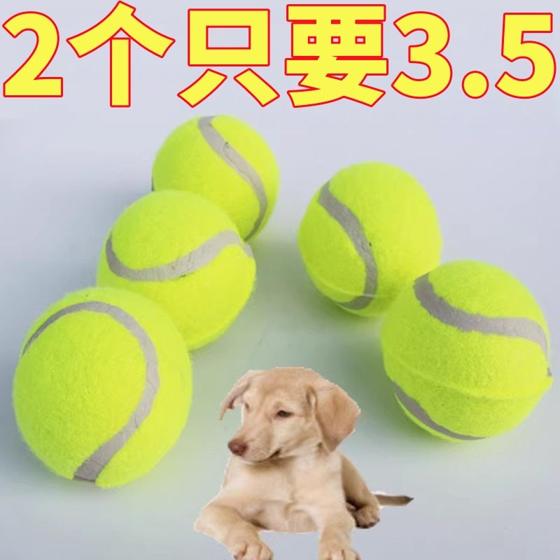 狗狗玩具球自嗨解闷神器