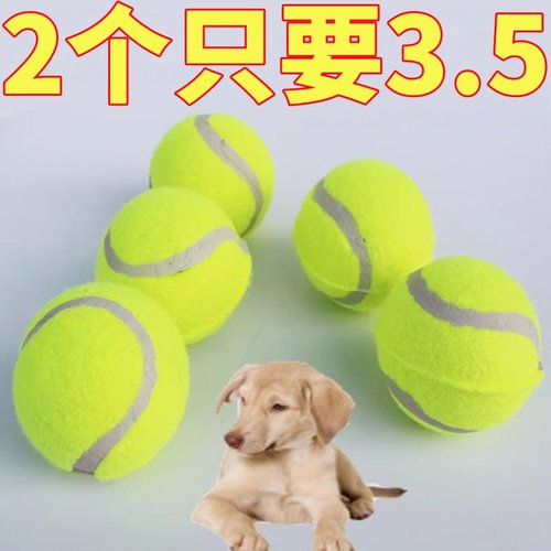 狗狗玩具球自嗨解闷神器