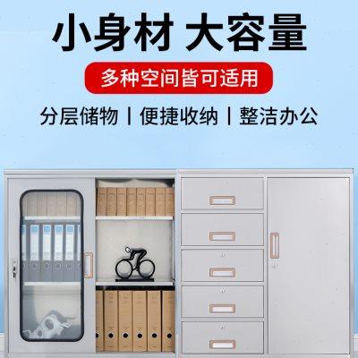 304不锈钢矮柜储物柜员工储物阳台鞋柜西药工具柜办公文件活动柜