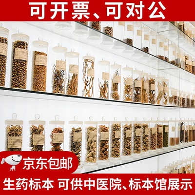 生药保健品成分展示展示品人参转角简约生物课汤包画文创药物山药