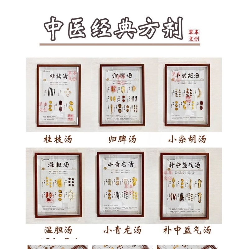 长白山人参文创diy中药材拍摄道具中药宣传墙亚克力版礼物中医