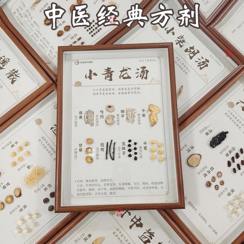 中医药材挂画成品中药橱窗展示儿童中医道具中医馆文创产品中药墙