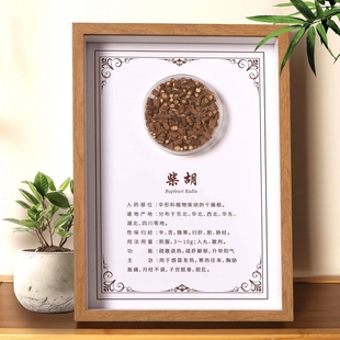 中医文创中草药标本画装饰画相框摆件挂画装饰画背景文化墙