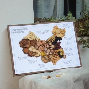 中药标本地图中医画文化周边晒干摆件柱子墙滴胶制作