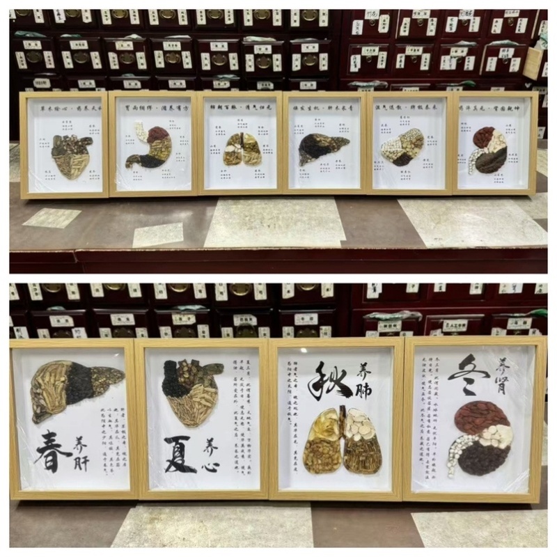 五脏六腑四季中药材墙面橱窗设计云南药材展示中医小摆件中医礼物