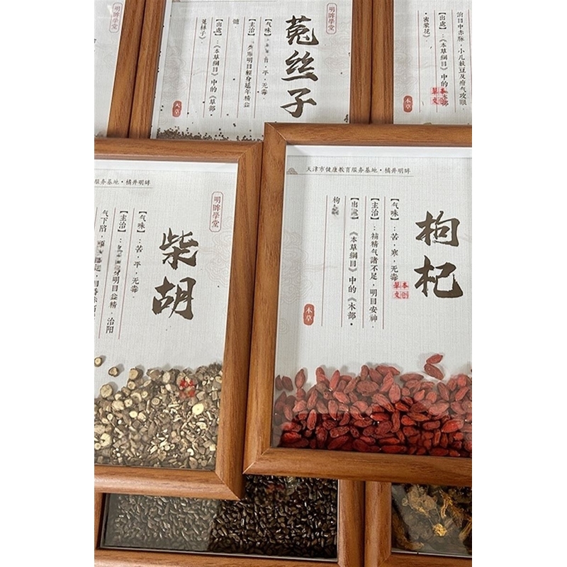 中药材饰品桌面摆件医学生中药材辨识标本植物标本相框芳疗布置