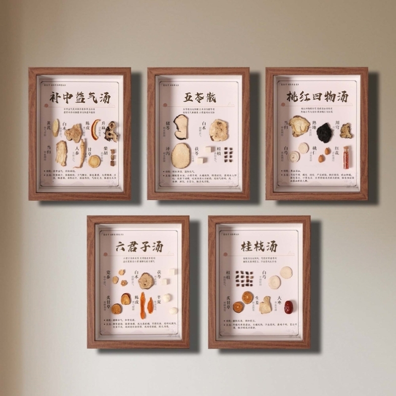 中药标本画方剂展示墙中医馆汤方养中草药装饰画文化相框文创周边