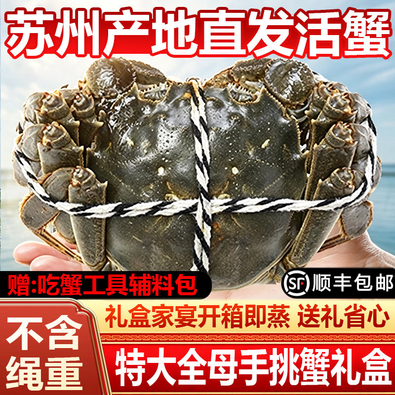 苏州特大阳澄活蟹礼全母闸蟹鲜活大螃蟹精品礼盒装年货节顺丰包邮