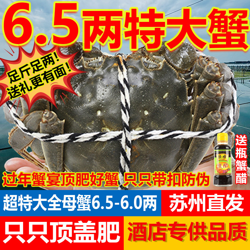 苏州特大阳澄蟹礼大闸蟹