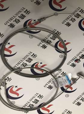 WZPK-326带锥形套管式铠装热电阻WZPK-578/WZPK2-275SA