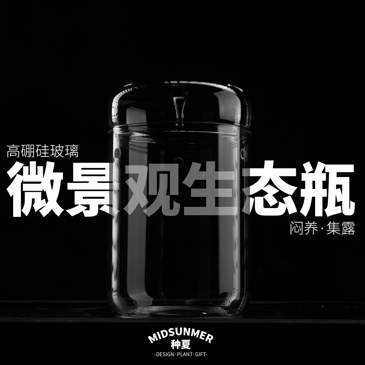 微景观瓶露集杯生态瓶DIY苔藓瓶