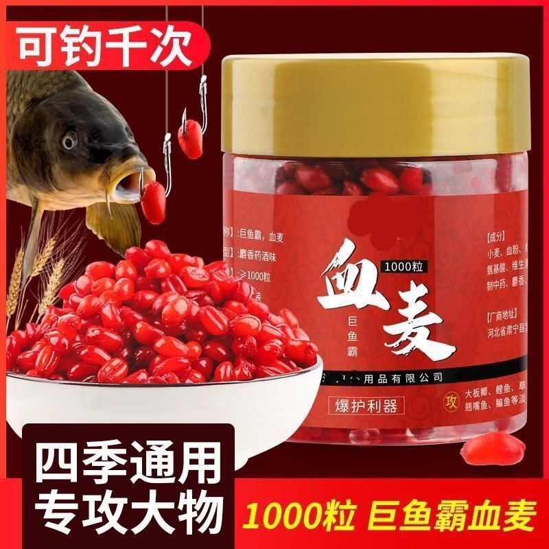 懒人麝香血麦饵直接挂钩黑坑专用