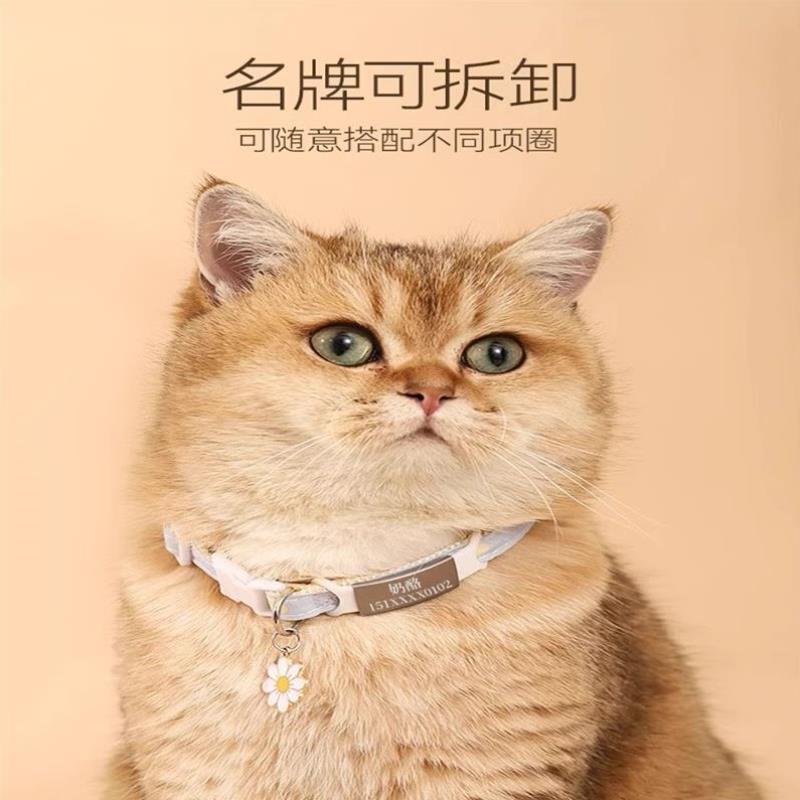 猫咪项圈猫牌刻字狗脖圈铃铛项链猫猫脖子饰品宠物防丢失定制