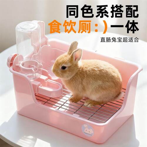 刺星球兔子挂碗奶糕食盆兔兔饭碗厕所食厕一体套餐耐用二合一