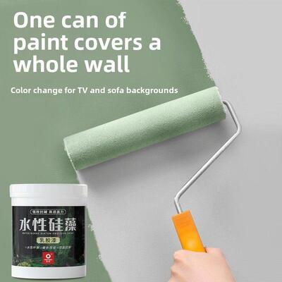 Rster室内水性乳胶漆室内家用自刷环保无臭内墙装修专用白漆