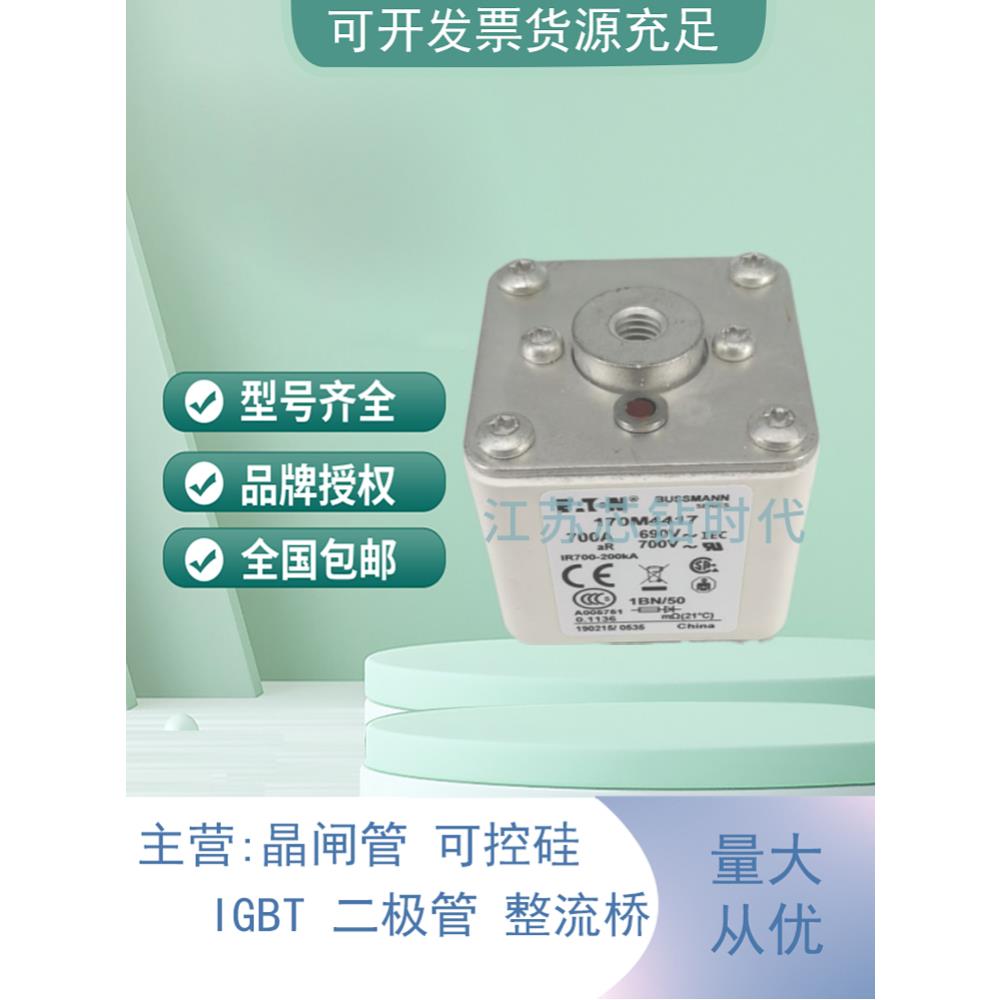 170m4419 170m5412 170m5418 170m6412 Basmann保险丝，现货