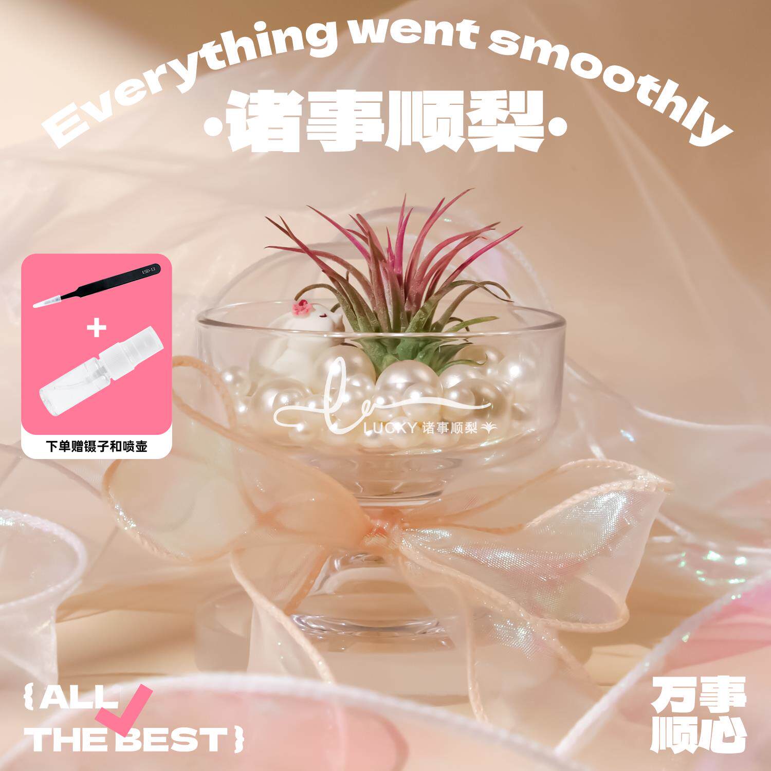 失控绿氧 “诸事顺梨”懒人植物桌面摆件空气凤梨创意绿植