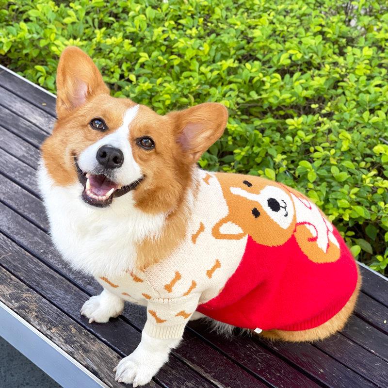 狗新年衣服柯基保暖毛衣中小型犬比熊雪纳瑞柴犬奶狗冬季过年衣服