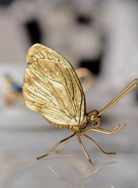 蝴蝶金属摆件网红北欧ins样板房摆设创意蚂蚁动物摆件抖音同款